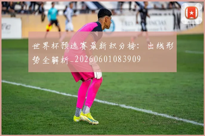 世界杯预选赛最新积分榜：出线形势全解析_20260601083909