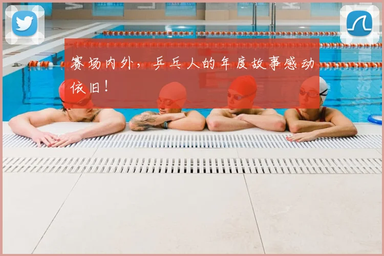 赛场内外，乒乓人的年度故事感动依旧！