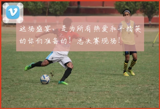 这场盛宴，是为所有热爱和平精英的你们准备的！总决赛现场！