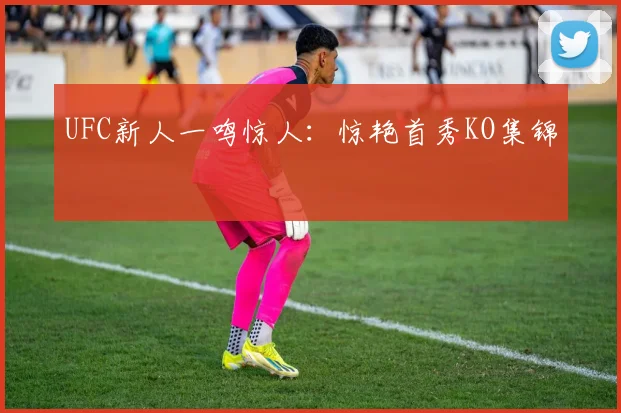 UFC新人一鸣惊人：惊艳首秀KO集锦