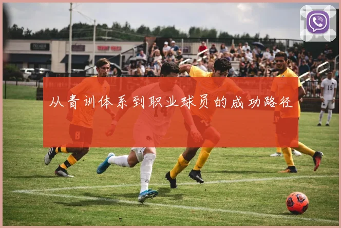 从青训体系到职业球员的成功路径