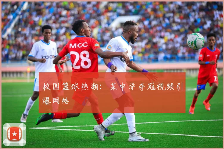 校园篮球热潮：某中学夺冠视频引爆网络
